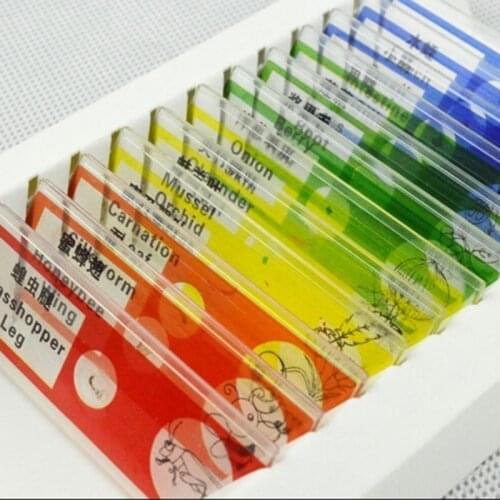 Birthday Gift 12pcs Students Children Educational Plastic Prepared Microscope Slides Biological Specimen for Toy Kids Microscope