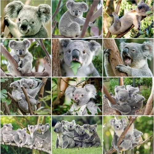 HUACAN 5D DIY Diamond Painting Animal Bear Full Square Mosaic Rhinestone Cross Stitch Sloth Diamond Embroidery Koala Home Decor