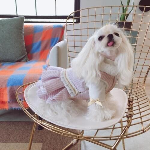 Pet Autumn and Winter Cotton Skirt French Elegant Plus Velvet Dog Clothes Teddy Pomeranian Cat Outfit, Exquisite Workmanship