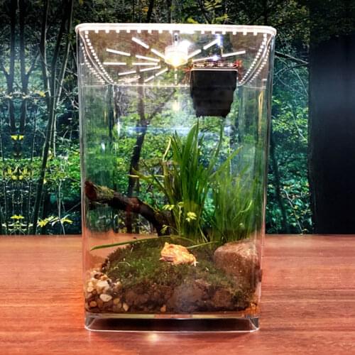 Transparent Reptile Box Acrylic Reptile Breeding Tank Plastic Spider Scorpion Pet Desktop Hatching Breeding Box Ornamental Box