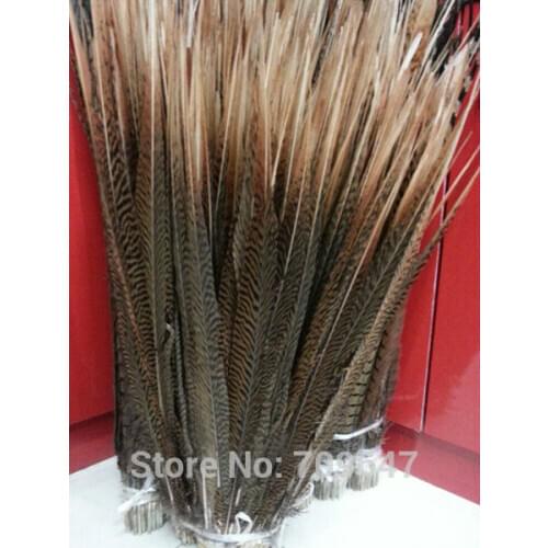 Wholesale Long Feathers!50Pcs/Lot!45-50CM 18-20inch natural color Golden Pheasant Tails Side Feathers Golden feathers