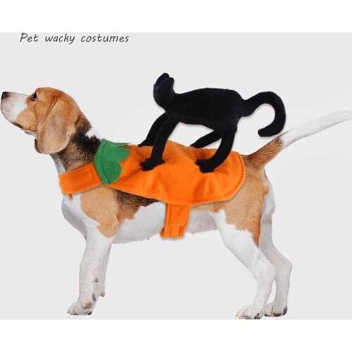 ZJMZYM Clothes For Cats