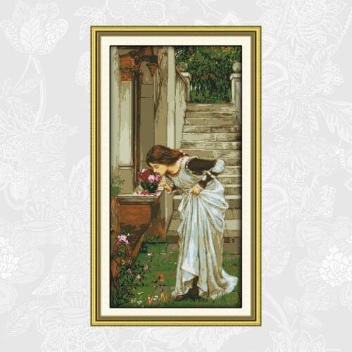 Joy Sunday Printed Aida Canvas 11ct 14ct Cross Stitch kits Backyard DMC Embroidery Set DIY Handmade Cross-stitch Needlework
