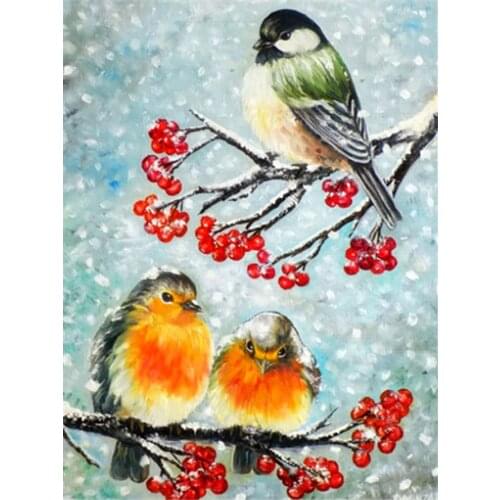 Round Full Drill Diamond Painting DIY Cross Stitch Kit Bird Fruit Decoration 5D Needlework Rhinestone Embroidery Mosaic
