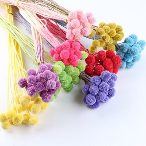 Natural Botton DIY Dried Flower Party Home Decoration Accessories Wedding Decor Colorful Handicraft Flores Real Plants Sunflower