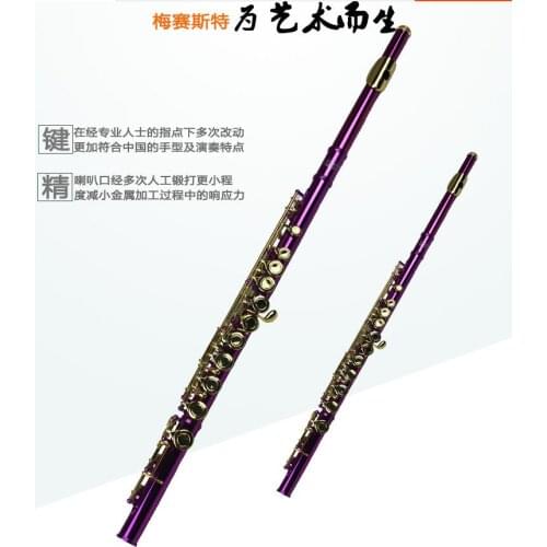 New Metal Purple Flute Playing Flute C Key FL-510R Flauta Detachable OVES Gold Plated Chinese Folk Instrument Brand Flute