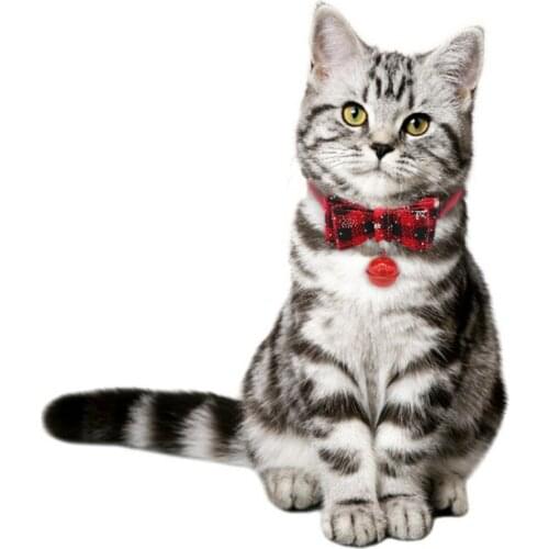 Cat Collar Breakaway With Bell Double Layer Bowknots Adjustable Kitten Collars Pet Christmas Gift Cat Collars & Leads