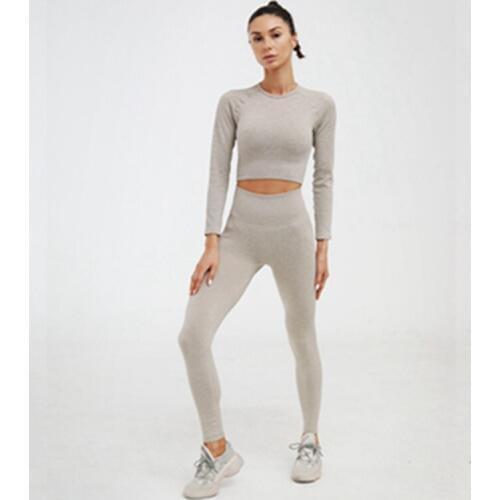 Seamless Yoga Set Women Fitness Tracksuit Sport Suit Yoga Long Sleeve Shirts High Waist Running Pants Leggings Workout Clothing