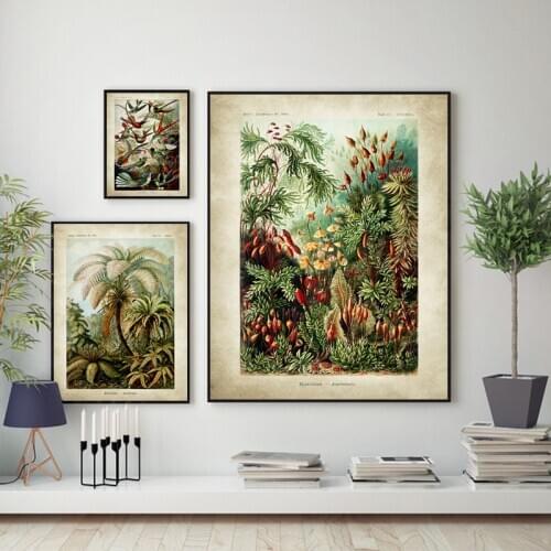 Vintage Ernst Haeckel Biology Poster Hummingbird Palm Tree Botanical Art Prints Plant Painting Retro poster kraft paper