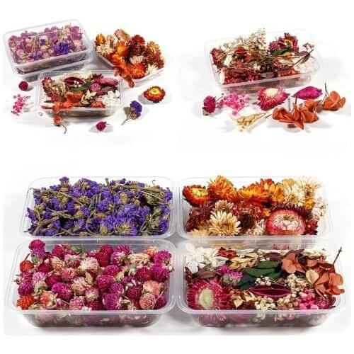 1 Box Real Dried Flower Resin Mold Fillings UV Expoxy Flower For Epoxy Resin Molds Jewelry Making Craft DIY Supplies Accessories
