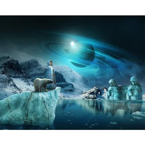 5D DIY Diamond Painting 100% Full Square/Round Drill "snow" Diamond Embroidery Bear Cross Stitch 3D Home decoration BY176