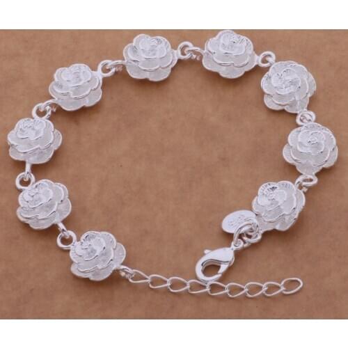 SL-AH031 Wholesale Silver Color Gift Women Lady Nice High Quality Fashion Jewelry Spend All Our /bctajuaa Absaisza