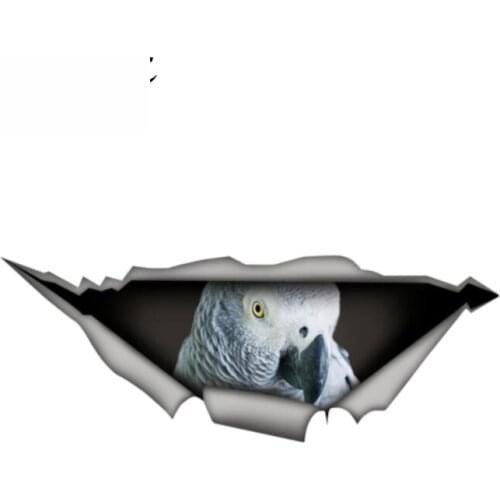 Dawasaru African Grey Bird Vinyl Sticker Torn Metal Decal Parrot Car Stickers Window Bumper Laptop Decor Car Styling 13cm X 5cm
