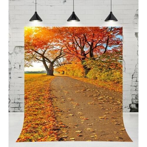 VinylBDS Natural Scenery Photography Backdrop Autumn Defoliation For Outdoor Wedding Photography Background