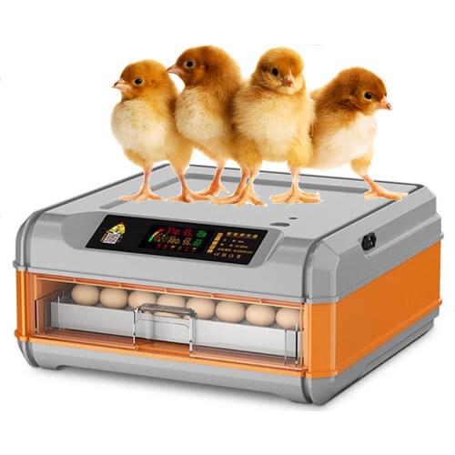 48 Eggs Brooder High Capacity Egg Incubator Fully Automatic Farm Hatching Machine Used To Hatch Chicken Duck Goose Poultry