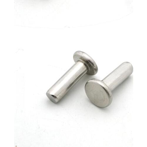 30pcs M2.5 stainless steel flat head rivets solid rivets household solid round cap decorative bolts length 5mm-10mm