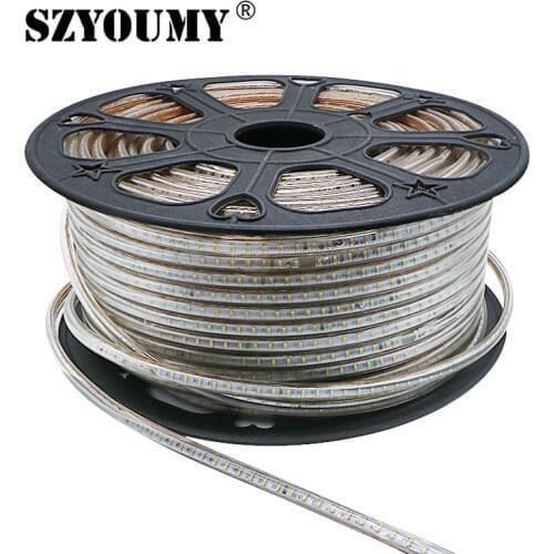 SZYOUMY 220V 230V 240V Led Strip Light SMD 3014 Waterproof IP67 I Warm white Coolwhite Outdoor Tape Rope With Power Plug