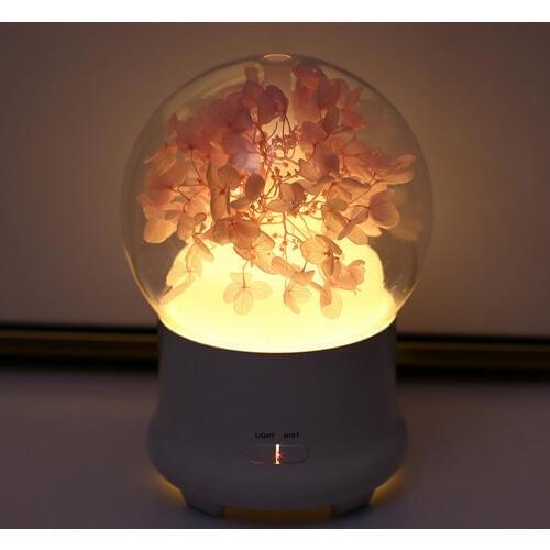 Air Humidifier Preserved Fresh Flower Aroma Essential Oil Diffuser Ultrasonic Air Humidifier 7Color LED Lights Electric Aroma