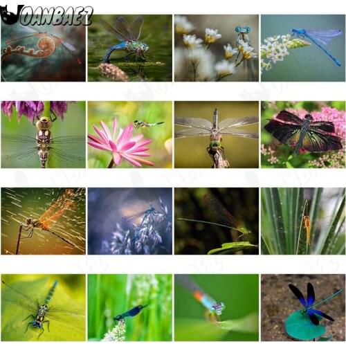 Beautiful Animal Dragonfly Diamond Painting 5D Diy Blue Wing Mosaic Diamond Inlaid Cross Stitch Home Decoration Accessories