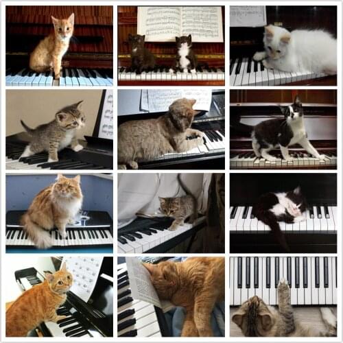 Diy 5D Full Drill Diamond Painting Cat Piano Animal Round Square Diamond Embroidery Cross Stitch Mosaic Home Decor Handmade