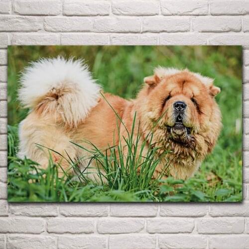 Cute chow chow in grass furry dog animal artwork living room home decor art print wood frame fabric poster KP070