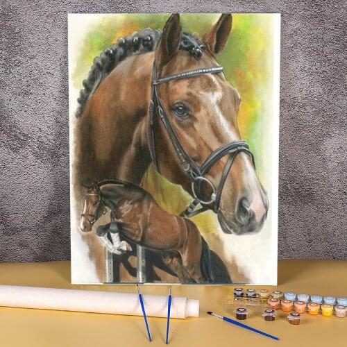 Horse Animal DIY Painting By Numbers Package Oil Paints 40*50 Canvas Pictures Handmade Kids Drawing