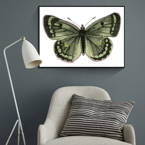 Butterfly Oil Painting Picture Poster Canvas Print Painting Wall Art Living Room Home Decoration