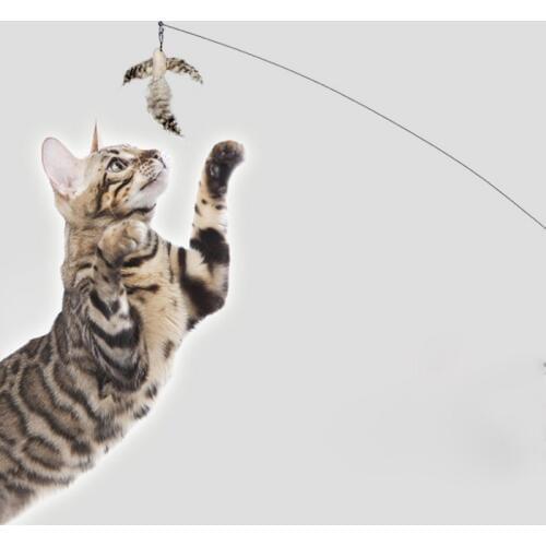 Hot High Quality Pet Cat Toy New Design Bird Plush Feather Plastic Toy Cat Cats Catcher Teaser Toy 3 Colors