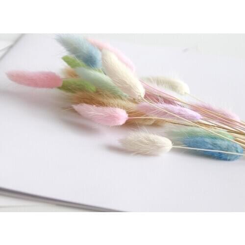 DIY floating flower making immortal dried flower material DIY fragrant candle jars rabbit tail grass dried flower picture