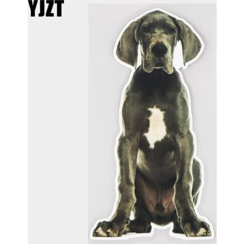 YJZT 10×19.2CM Great Dane Creative Body Scratch Cover Sticker Cartoon Car Window Decal 21A-0070