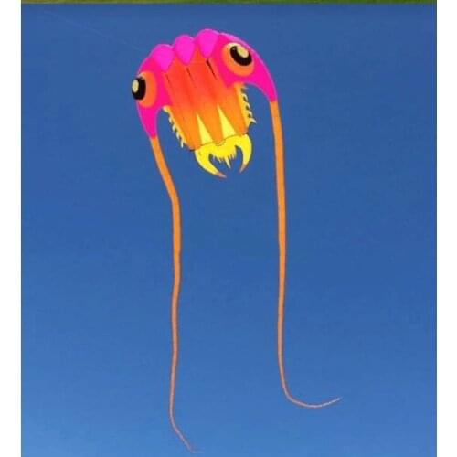 Breeze Trilobite soft kite Single line kite rainbow large kite trilobite Flying kite ripstop nylon fabric outdoor game child