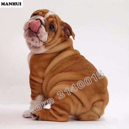 3d diy diamond painting cross stitch rhinestones crystal diamond embroidery mosaic needlework Animal dog wall craft paint BFC327