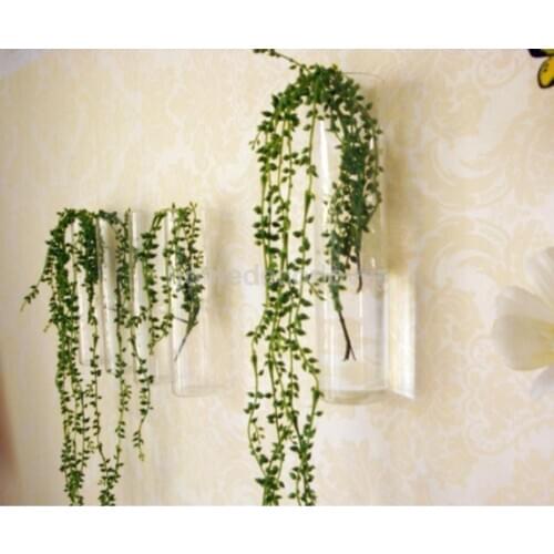 Cylinder Clear Glass Wall Hanging Vase Bottle for Plant Flower Decorations