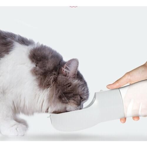 Qianyi Bowls For Dogs