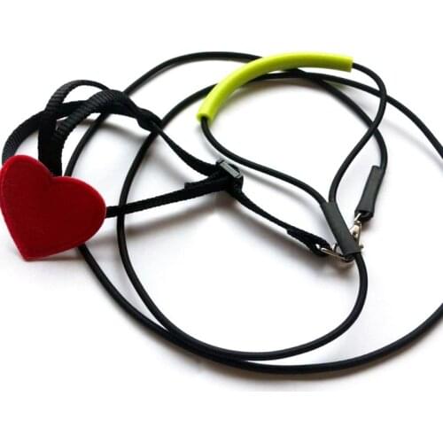 T3EC Anti-bite Flying Training Rope Parrot Birds Ultralight Harness Leash Soft Portable Pet Toys