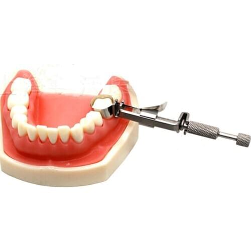 1piece Dental Matrix Band Clamp To Hold The Stainless Steel Tofflemire Universal Dental Lab Equipment