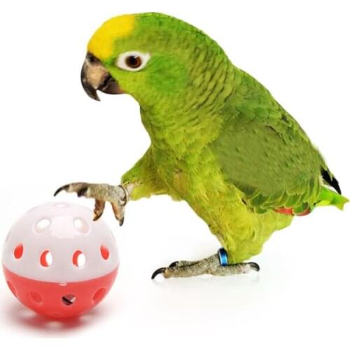 1 Pc Random Delivery Pet Parrot Toy Bird Hollow Bell Ball For Parakeet Cockatiel Chew Fun Cage Toys