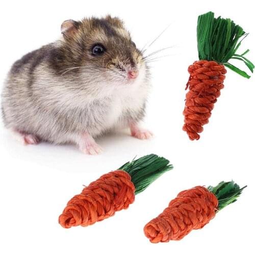 3Pcs/Set Carrot Shaped Rabbit Hamster Chew Bite Toys Shaped Rabbit Hamster Chew Bite Toys Guinea Pig Tooth Cleaning Toys Supply