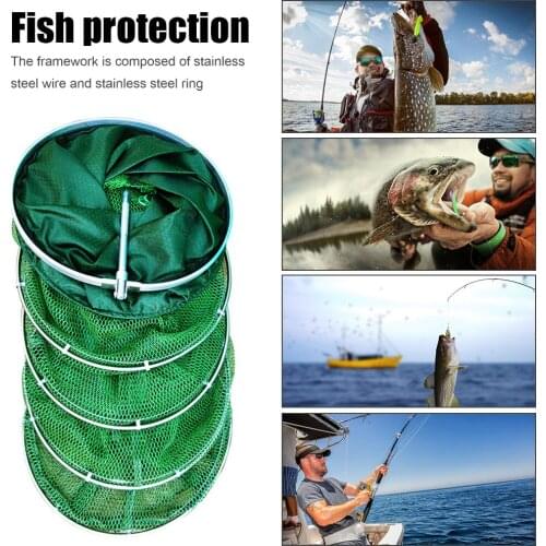 1.5m/2.5m Glued Fish Net Real Aluminum Fish Trap Live Fishing Cage Basket Collapsible Carp Fishing Net Fishing Accessories