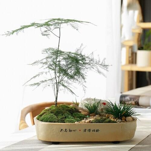 Succulent Creative Narcissus Green Radish Copper Money Grass Hydroponic Flower Pot Text Section Ceramic Rectangular Flower Pot