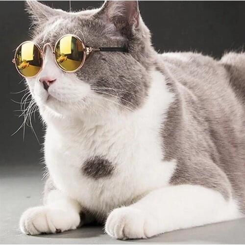 1 PCS Lovely Cat Sunglasses Photos Props Fashionable Reflection Round Cat Glasses Decor Small Pet Kittens Puppy Cats Accessories