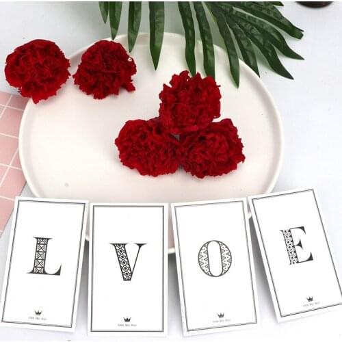 8pcs/BoxCarnation Head DriedPreserved FlowerHomeDecoration IndieRoomDecorGiftArtificialFlowerDIYForPartyMotersDayWedding