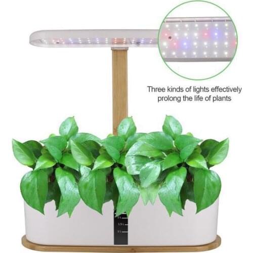 CX Indoor Soilless Cultivation Vegetable Planting Machine Hydroponic Planting Box Intelligent Vegetable Planting Machine