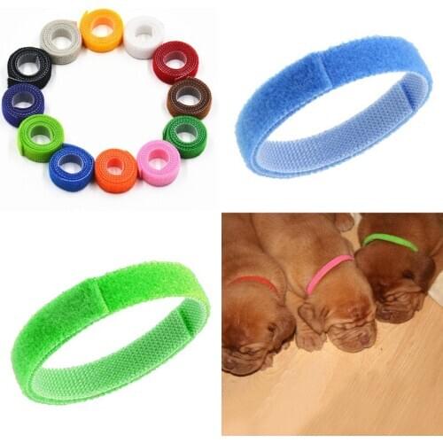 12pcs/set Puppy Identification Collars Adjustable 35cm Newborn Pet Collar 12 Colors Small Dog Collar ID Collar For Cats Dogs