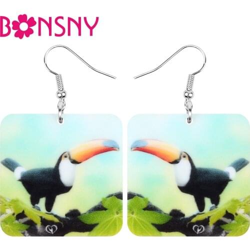 Bonsny Acrylic Square Toucan Earrings Printing Big Cute Bird Animal Dangle Drop Jewelry For Women Girls Novelty Gift Accessories