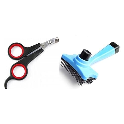 ALLYXIO Comb For Cats