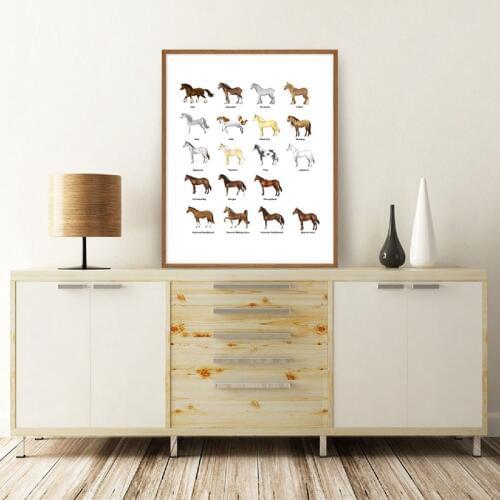 Horse Breeds Collection Poster Canvas Painting Farm Wall Art Picture Various Stallion Animal Prints Farmhouse Wall Decorations