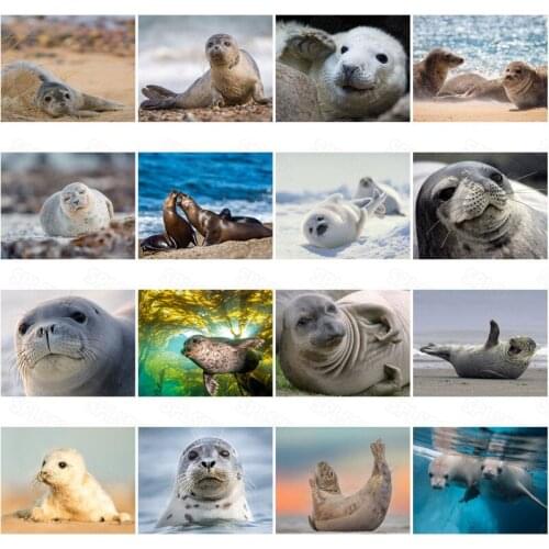 Diy Diamond Painting Modern Wild National Protected Animals Seal Cute Childrens Bedroom Decoration Hanging Painting