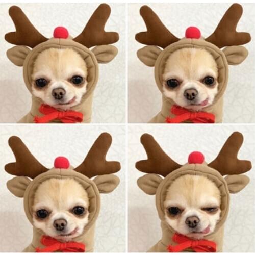 Dog Clothing Fruit Series Christmas Jacket Coat Hoodie Sweater Jumpsuit Puppy Winter Warm for Small Large Dogs Cats Pet Clothes