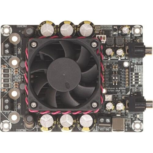 2 x 100Watt Class D Audio Amplifier Board - T-AMP